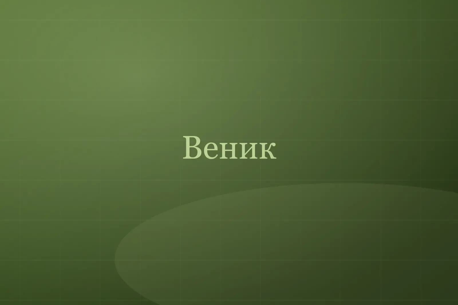 Веник дубовый